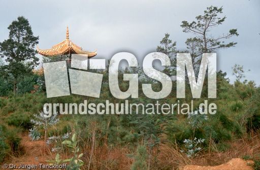 China (204 von 257).jpg